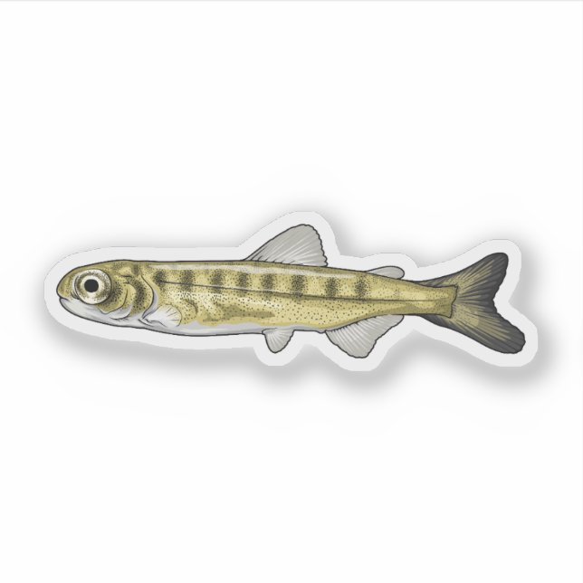 Sticker Saumon Sockeye Fry (Devant)