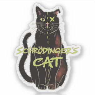 Sticker Schrodinger's Cat, Funny Physics Don
