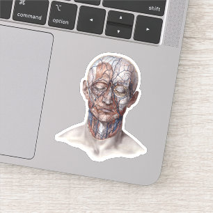 Sticker Science d'anatomie humaine vintage, tête gorge nez