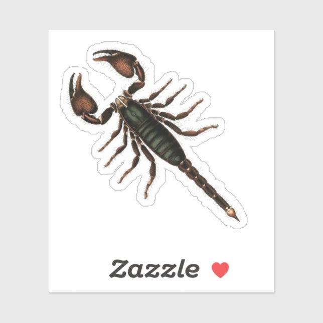 Sticker Scorpion ! (Feuille)