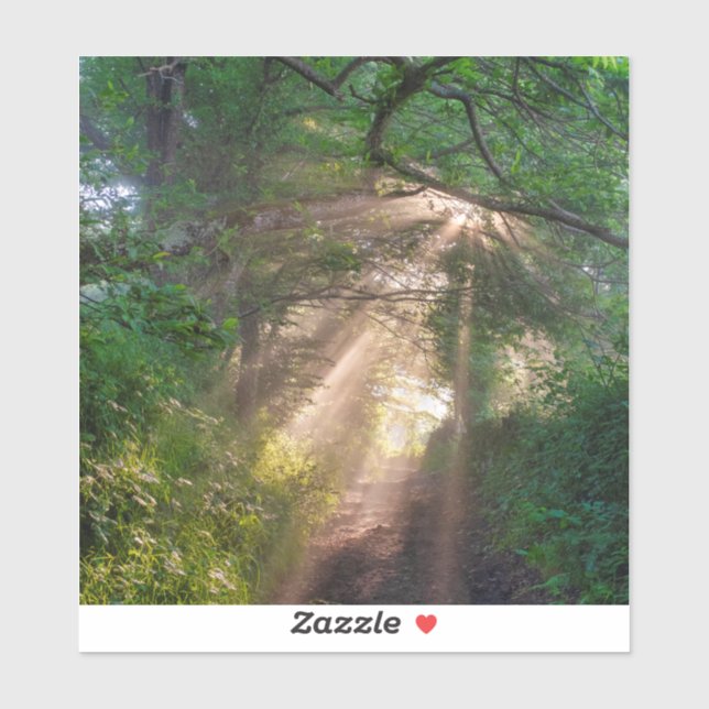 Sticker sentier forestier (Feuille)