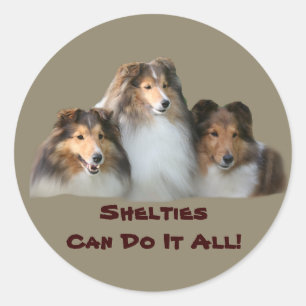 Sticker Sheltie
