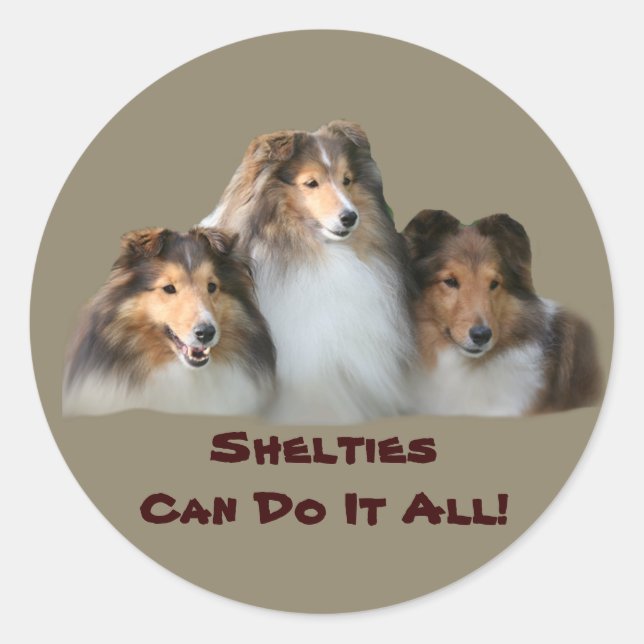 Sticker Sheltie (Devant)
