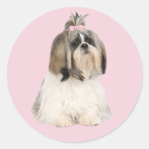 Sticker Shih Tzu