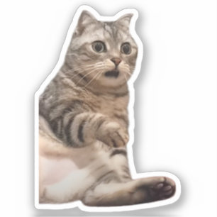 Sticker Shocked Chat Meme