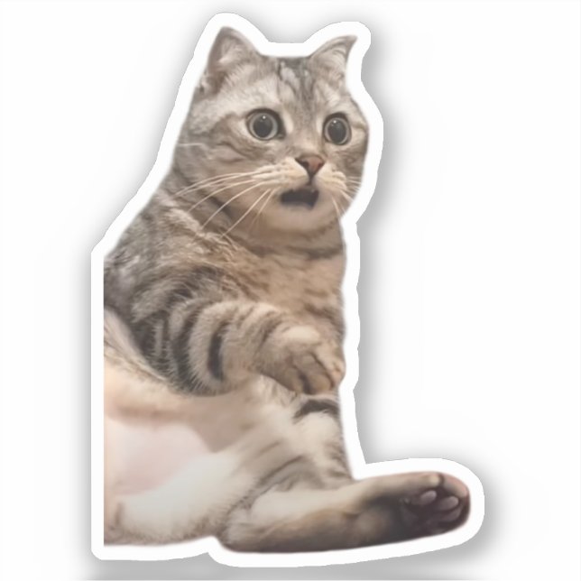 Sticker Shocked Chat Meme (Recto)