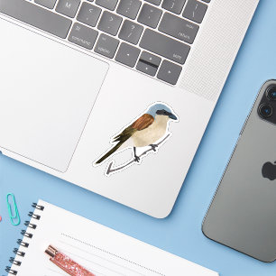 Sticker Shrike