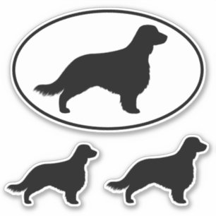 Sticker Silhouettes de springer spaniel de Gallois avec la