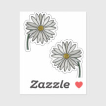 Simplement des marguerites