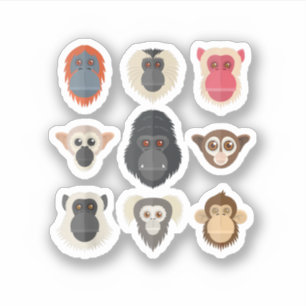 Sticker Singe Chimpanzé Gorille Singe Araignée Écureuil M