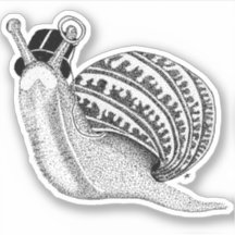 Sir Peter l'escargot