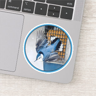 Sticker Sittelle à poitrine blanche dans la neige