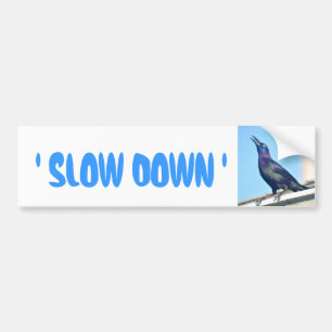 Sticker Slow Down pour pare-chocs