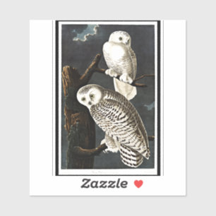 Sticker Snowy Owl par John James Audubon