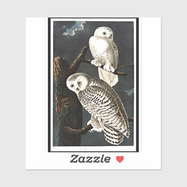 Sticker Snowy Owl par John James Audubon (Feuille)