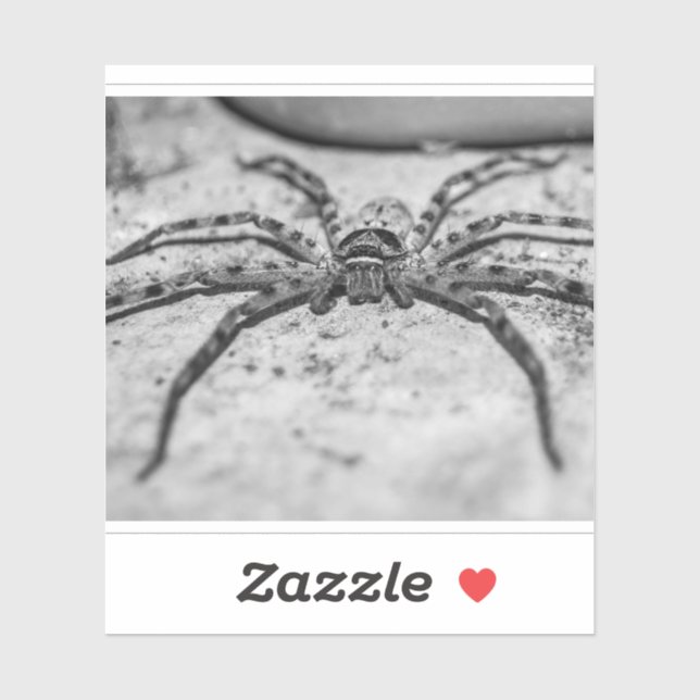 Sticker Spider Huntsman (Feuille)