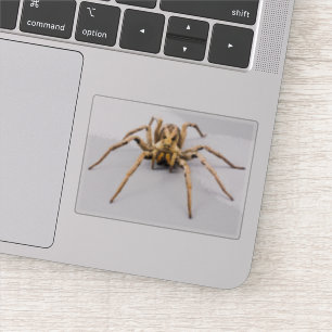 Sticker Spider Sense