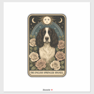 Sticker Springer Spaniel anglais