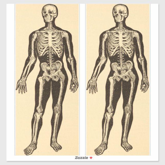 Sticker squelette vintage illustration âge blanc (Feuille)