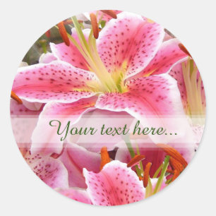 Sticker "Stargazer" Lily Texte personnalisé Classi