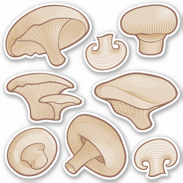 Sticker Stickset Icônes de champignons coupés en bois (Devant)