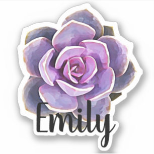 Sticker Succulent Cactus Name