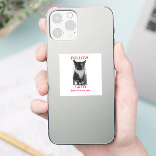 Sticker SUIVEZ GATO, Tous les Casquettes