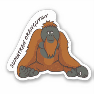 Sticker "Sumatran Orangutan"