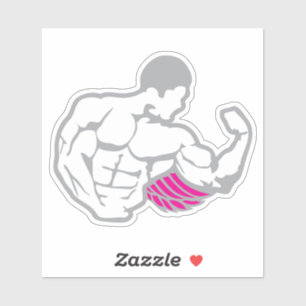Sticker super bodybuilder musculation aile corps 
