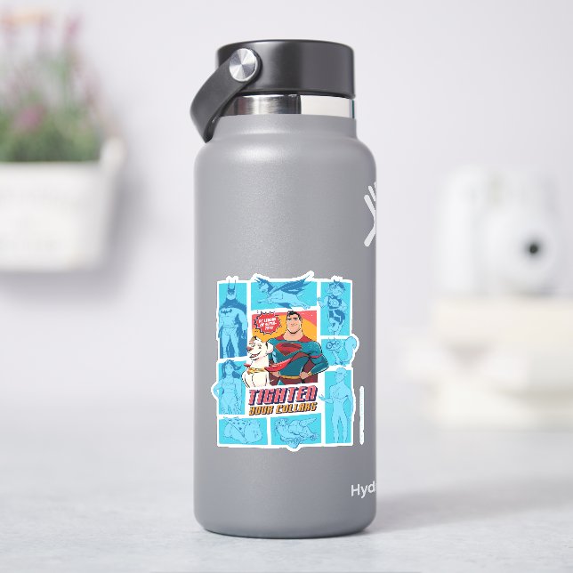Sticker Super Pets & Justice League - Tighten Your Collars (HydroFlask)