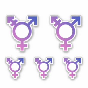 Sticker Symbole de fierté trans