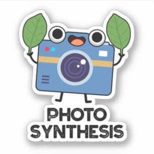 Sticker Synthèse De Photo Drôle Caméra Pun