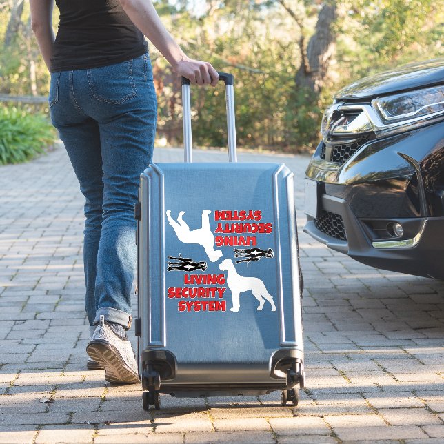 Sticker Système de sécurité de vie d'autocollant de voitur (Valise Insitu)