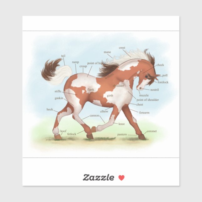 Sticker Tableau d'anatomie du Cheval de Chestnut Overo (Feuille)