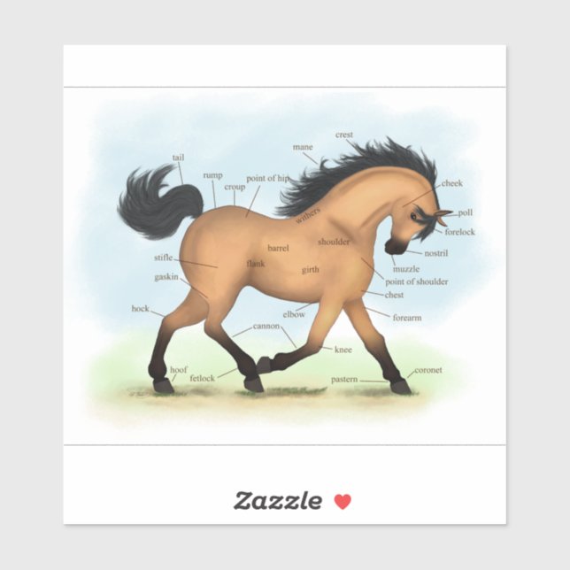 Sticker Tableau d'anatomie du cheval de Trot (Feuille)