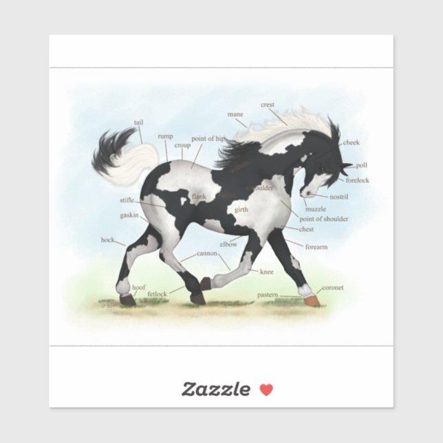 Sticker Tableau d'anatomie du cheval de Trot Piebald Overo (Feuille)
