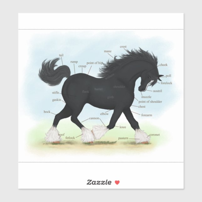 Sticker Tableau d'anatomie équestre du cheval de Trot (Feuille)