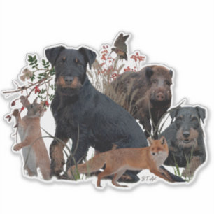 Sticker Térrier de chasse allemand (Jagdterrier)