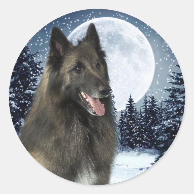 Sticker Tervuren belge (Devant)