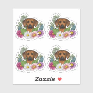 Sticker Tête De Chien Rhodésien Ridgeback Et Fleurs Coloré