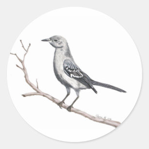Sticker Texas Mockingbird
