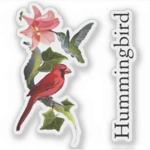 Sticker Texte personnalisé Cardinal et Colibri Rose Lily