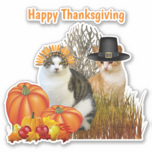 Sticker Thanksgiving Cute Pilgrim Cats Vinyl Cutout