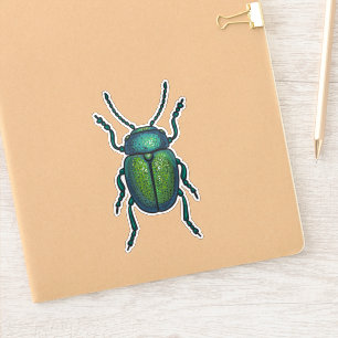 Sticker The tansy beetle