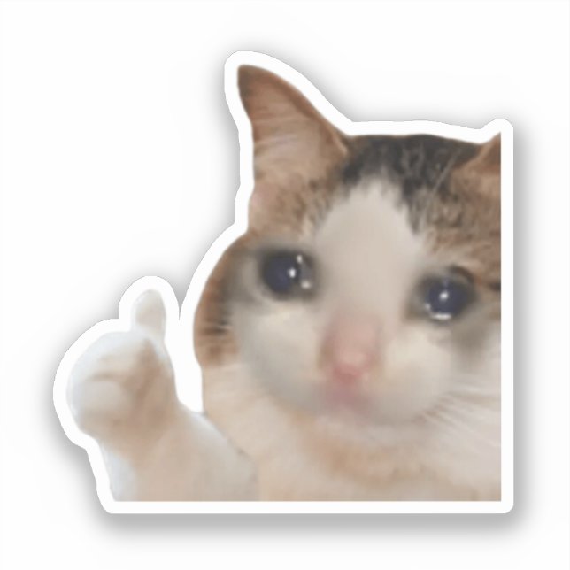 Sticker Thumbs Up Ok Cat Meme (Recto)