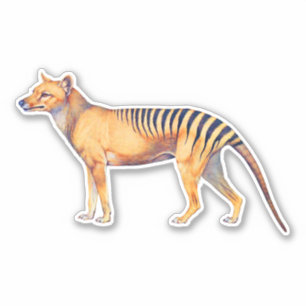 Sticker Thylacine (Tigre de Tasmanie)