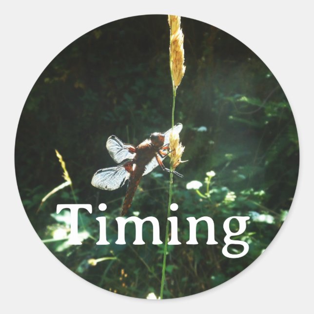 Sticker Timing (Devant)