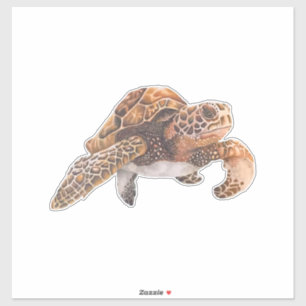 Sticker Tortue Copie Copie Copie Copie Copie Copie Copie C