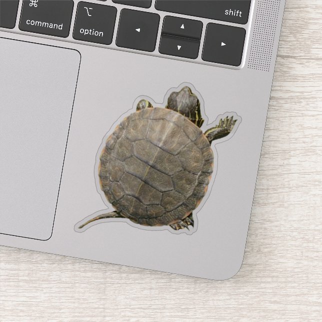 Sticker Tortue minuscule (Tortue) Photo (Détail)