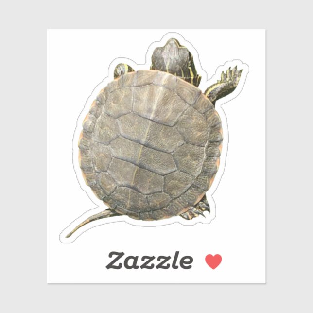 Sticker Tortue minuscule (Tortue) Photographie (Feuille)